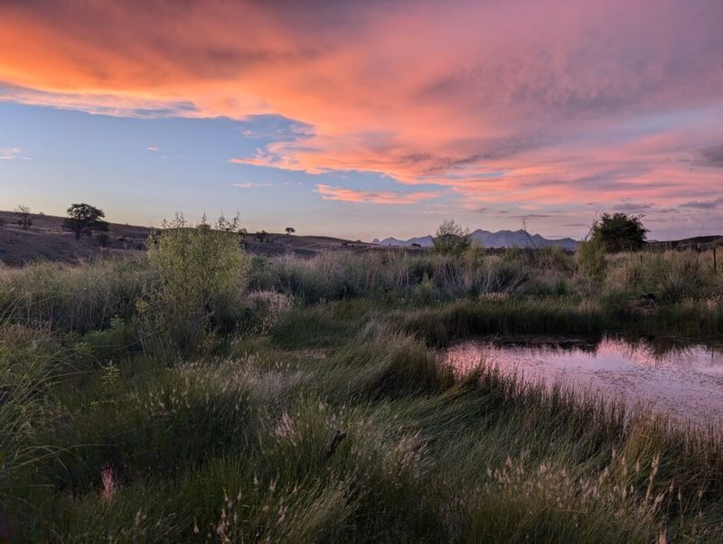 Water Shapes Habitat for Some Arizona Fireflies Water Shapes Habitat for Some Arizona Fireflies