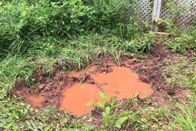 Water That Stays Too Long Can Point To Poor Drainage Water That Stays Too Long Can Point To Poor Drainage