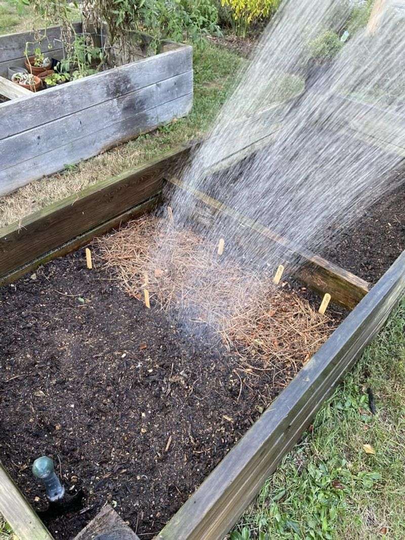 Water The Bed If Fall Soil Is Dry Water The Bed If Fall Soil Is Dry