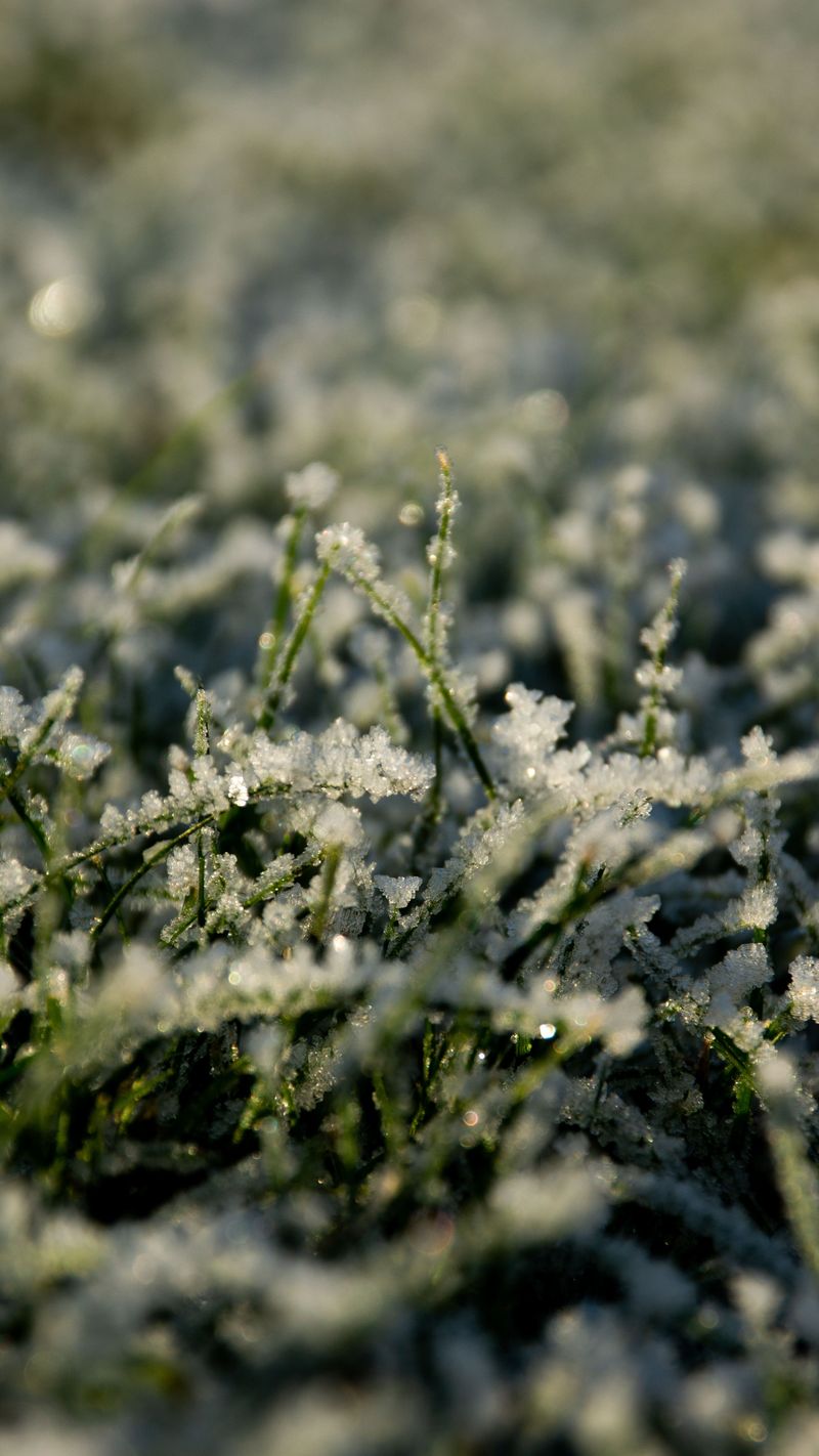 Water The Yard Until The Ground Freezes Water The Yard Until The Ground Freezes