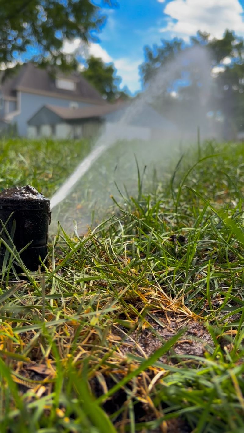 Watering Lightly And Often Watering Lightly And Often