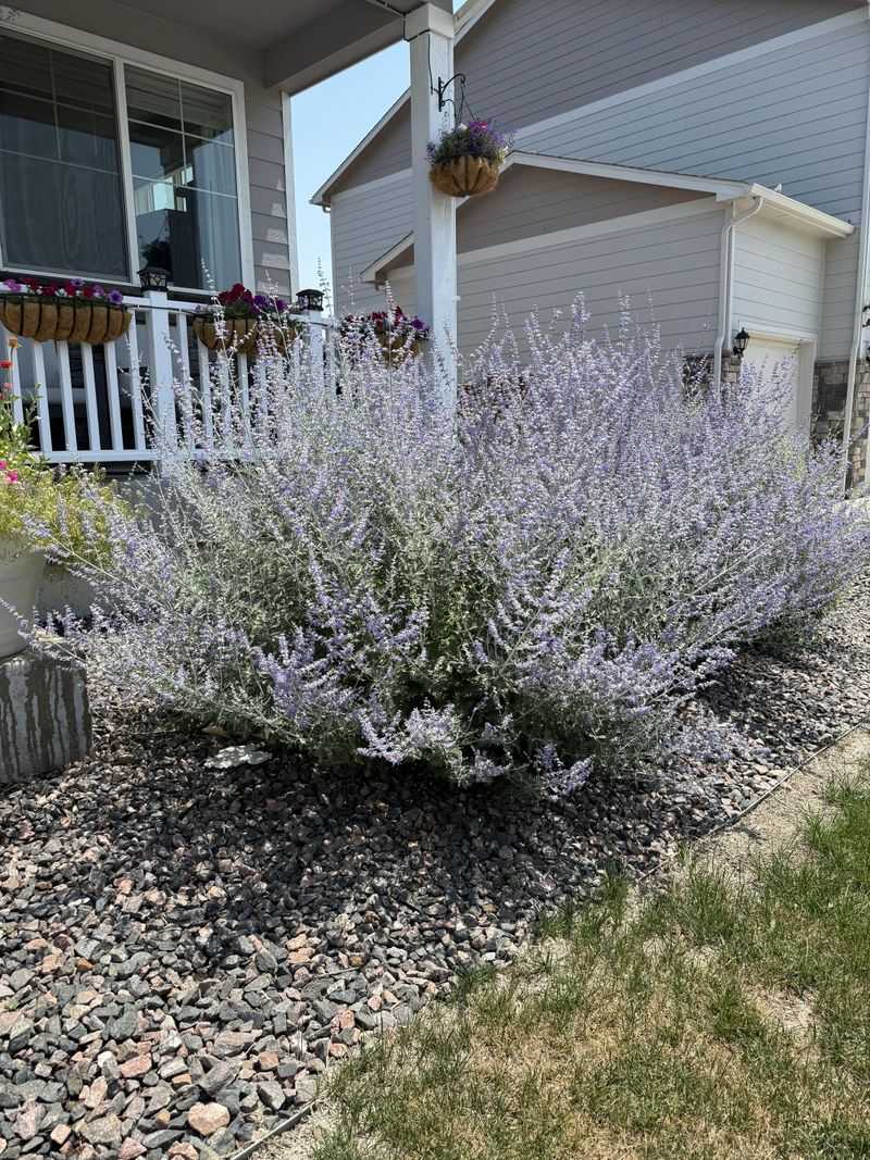 Watering Needs Drop This Time Of Year