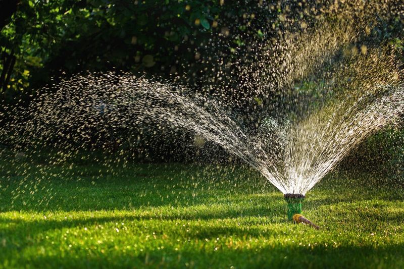 Watering Never Takes A Day Off Watering Never Takes A Day Off