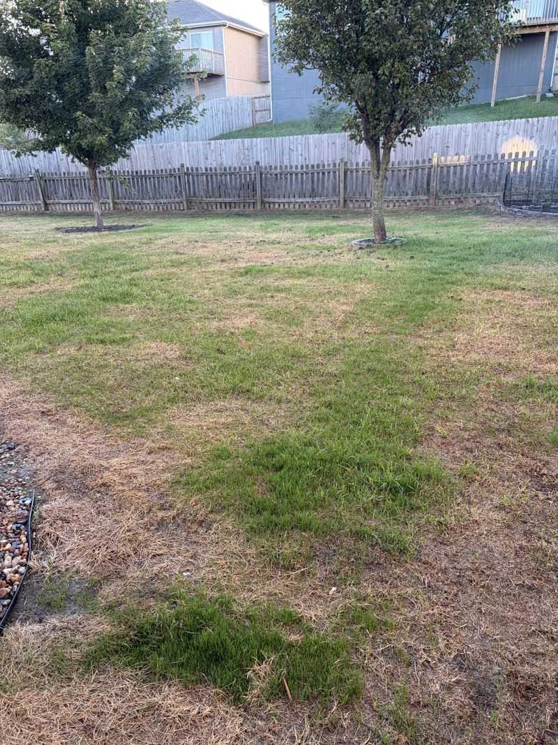 Weed Pressure Drops With Proper Fall Timing