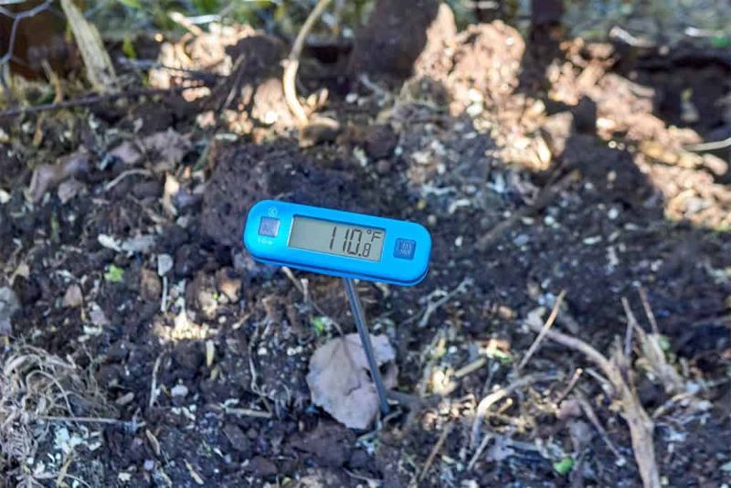 Weed Seeds Survive Piles That Never Heated Enough Weed Seeds Survive Piles That Never Heated Enough