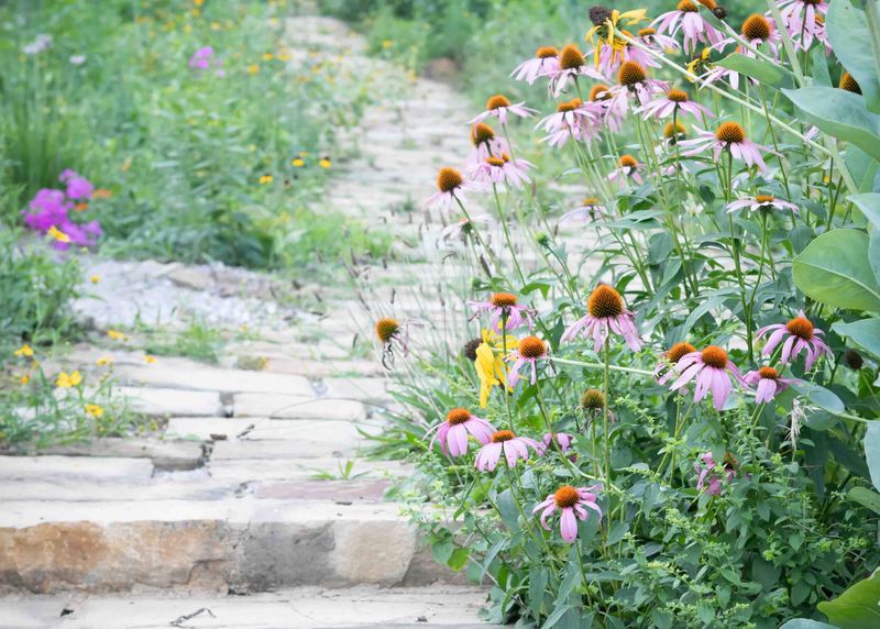 Well-Drained Slopes Work Wonders Well-Drained Slopes Work Wonders