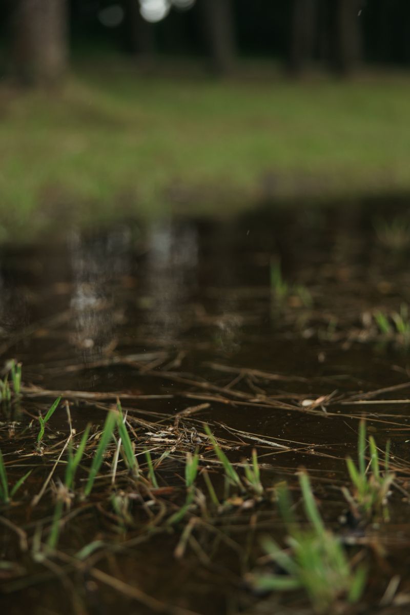 Wet Ground Keeps Disappearing