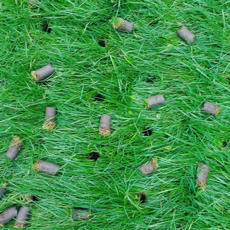 Wet Soil Can Be Damaged By Aeration