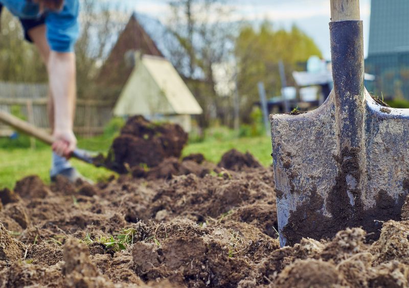 Wet Soil Structure Can Collapse Under Pressure