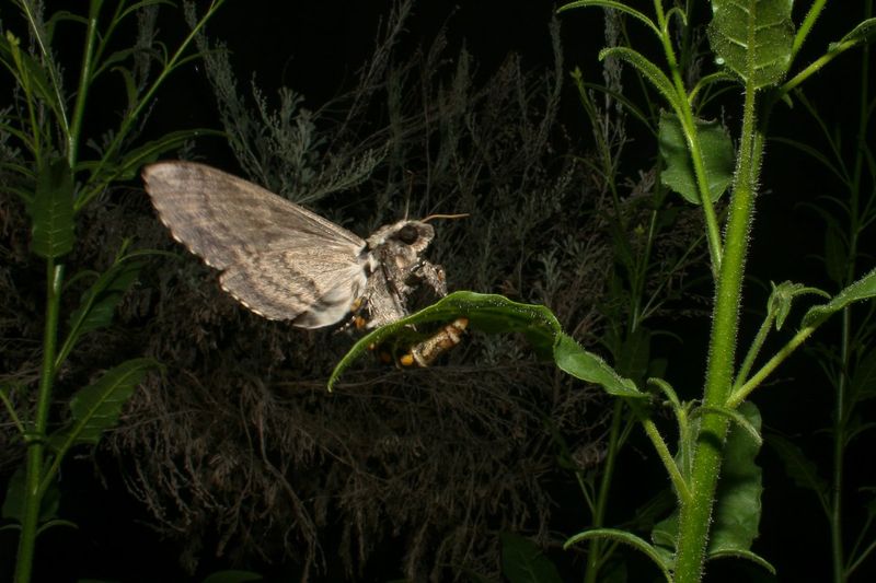 What Happens Next In Your Garden Beds