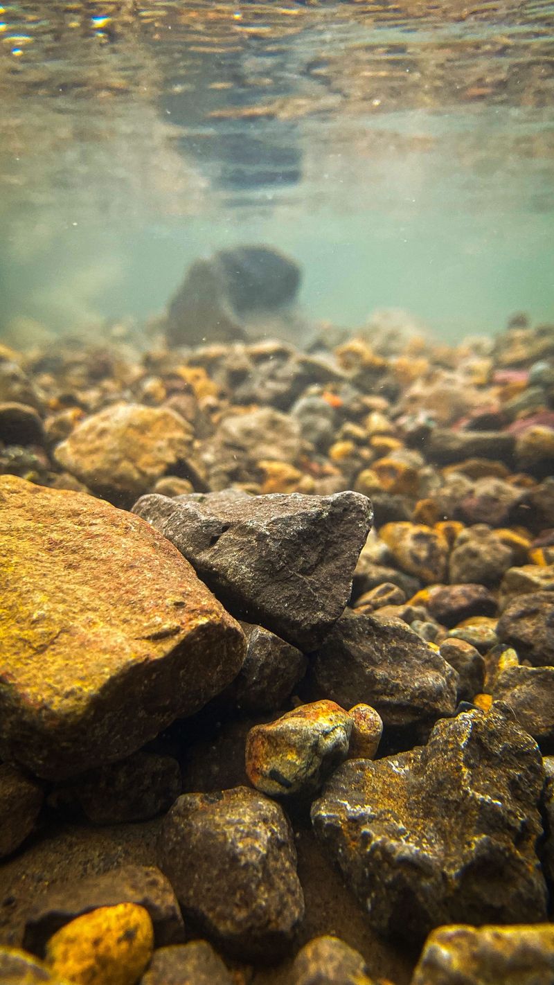 What It Eats Beneath the Surface
