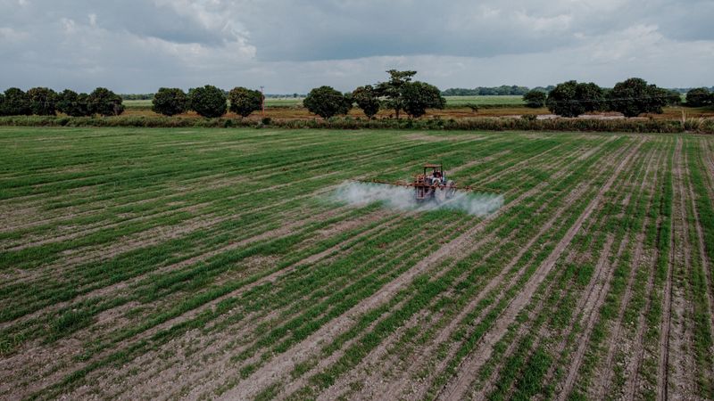 What Sprayed Cotton Fields Are Actually Doing