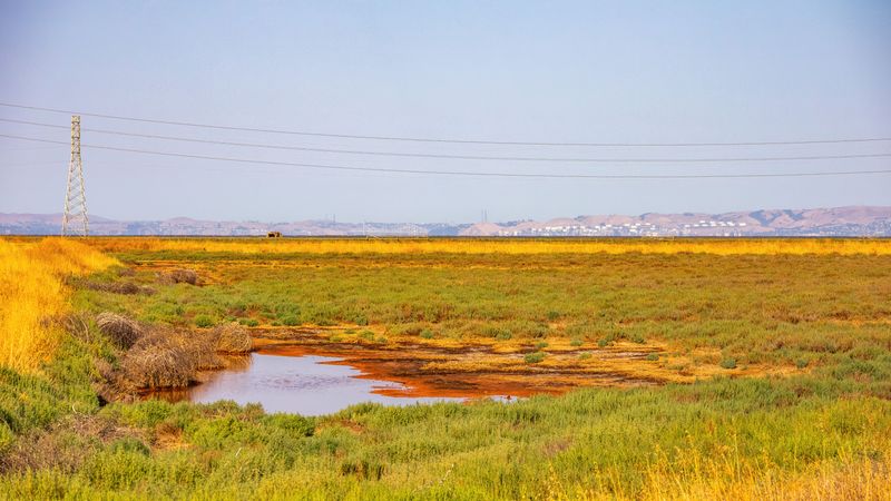What The Red Tells Us About Marsh Health What The Red Tells Us About Marsh Health