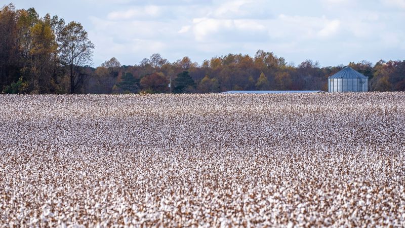 What The White Season Means For Small Towns What The White Season Means For Small Towns