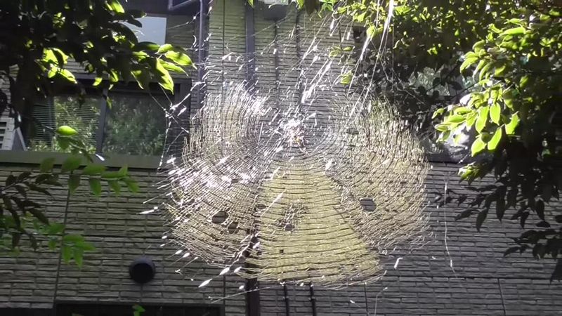 What They Catch And Why Gardeners Are Watching What They Catch And Why Gardeners Are Watching