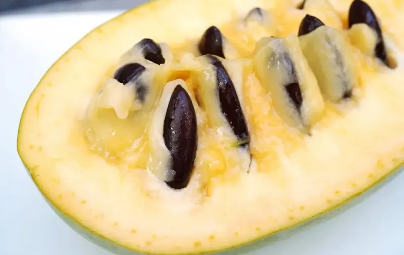 What To Do With Fresh Pawpaw Fruit What To Do With Fresh Pawpaw Fruit