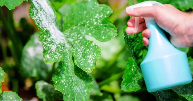 What hydrogen peroxide can—and cannot—do