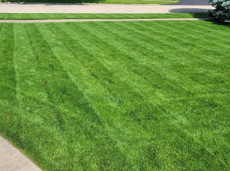 When conventional turf may be the better fit
