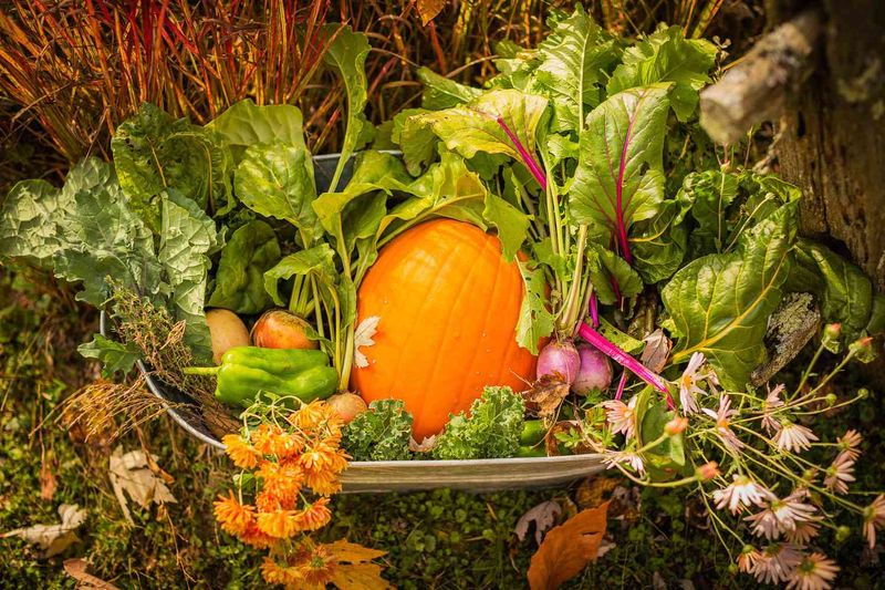 When to Harvest in Wisconsin