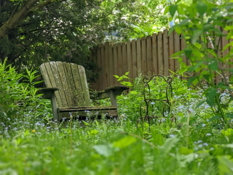 Where To Search Around Your Yard