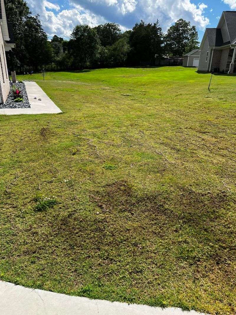 Where Water Sat For Days, Expect Compacted Soil