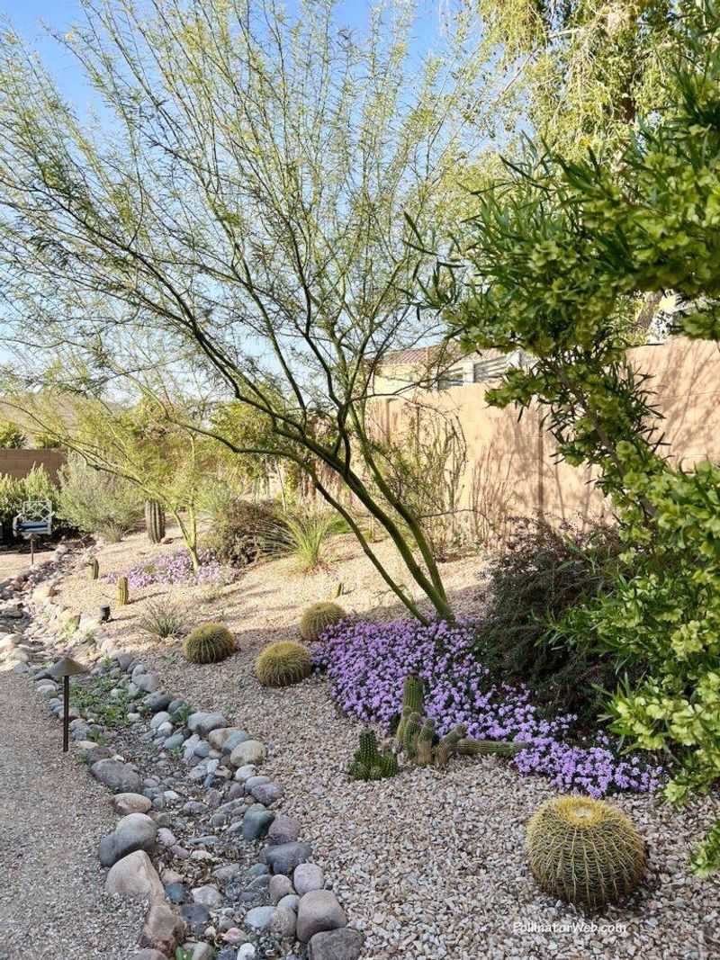 Which Arizona plants can support the garden’s food supply?