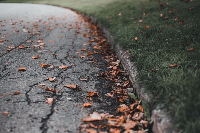 Why Driveways And Sidewalks Get So Busy In September Why Driveways And Sidewalks Get So Busy In September