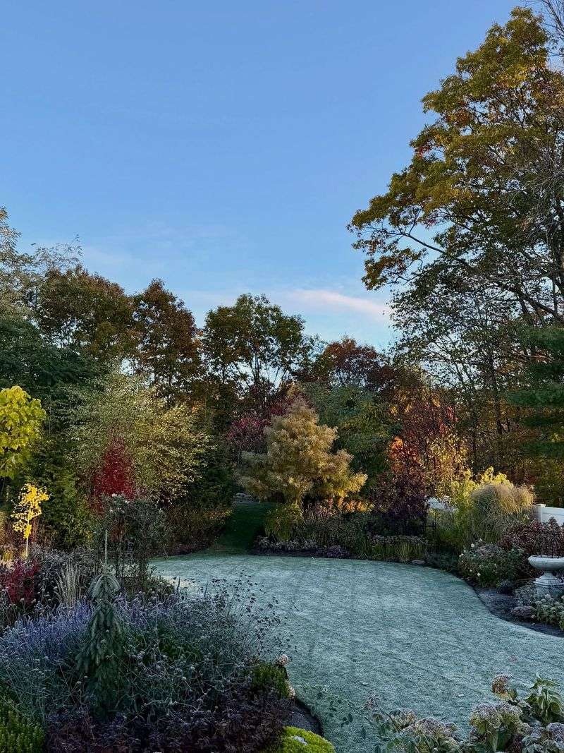 Why Frost Can Form Above 32°F