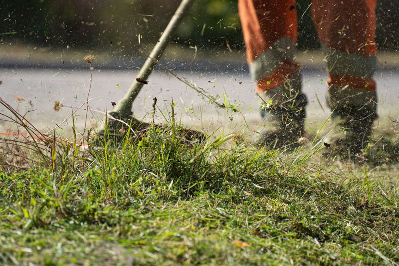 Why Mowing And Digging Often Fall Short