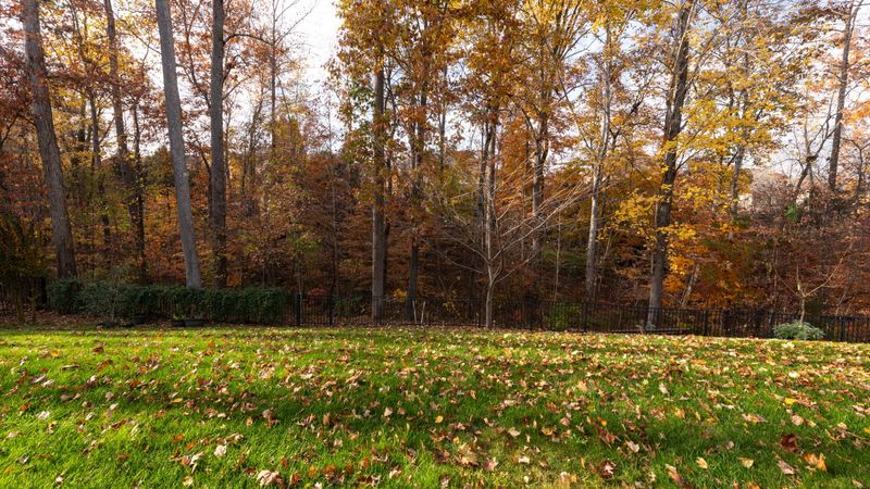 Why New York Grass Still Grows In October Why New York Grass Still Grows In October