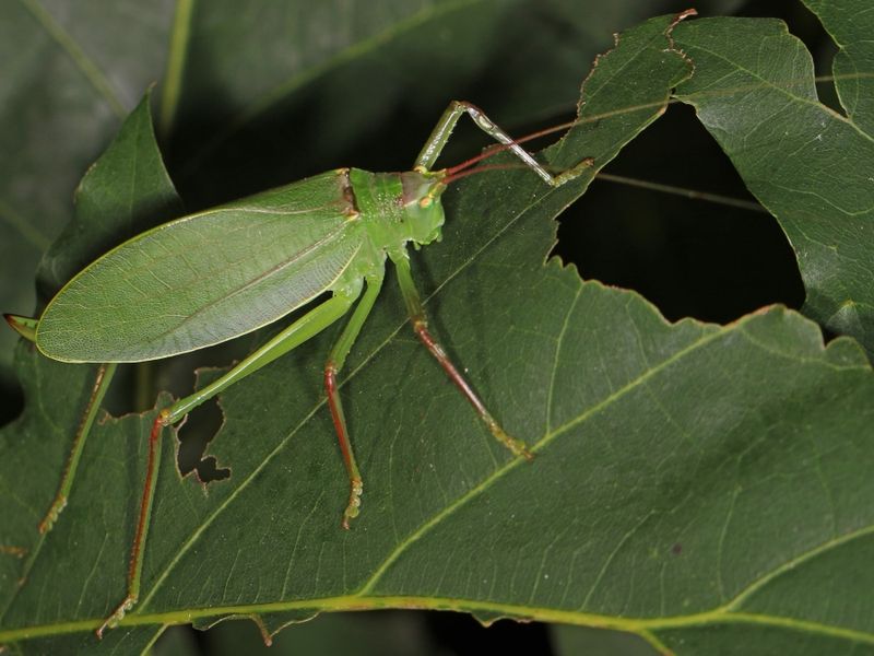 Why Scientists Watch It So Closely