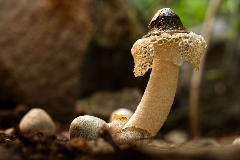 Why September In Iowa Sets The Stage