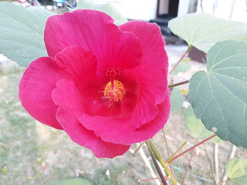 Why September Is Its Moment In Mississippi