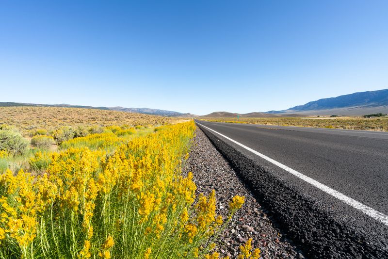 Why September Is Its Moment To Shine