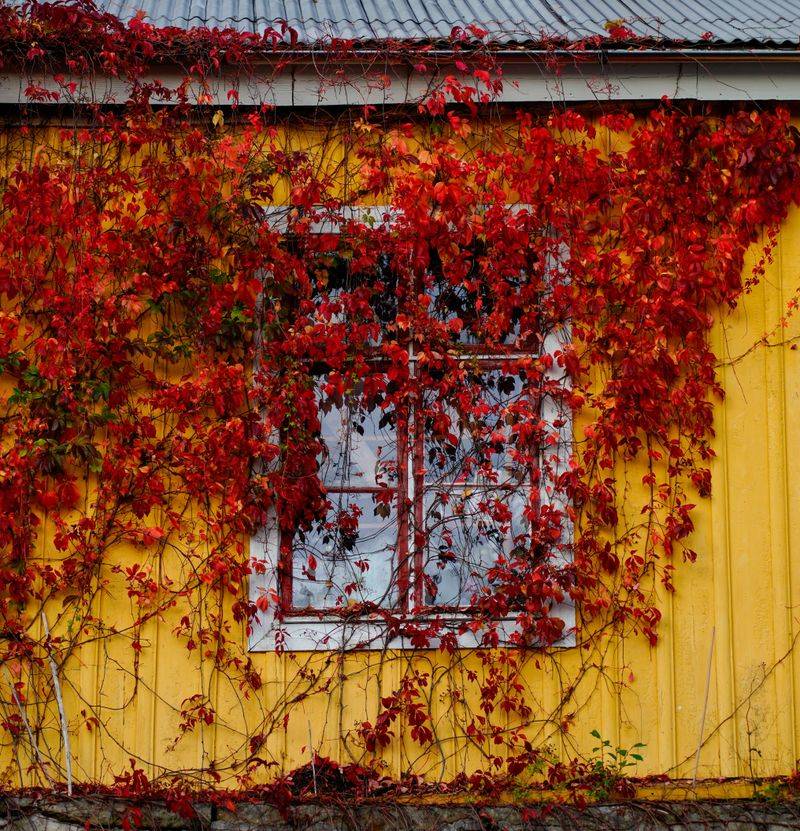 Why September Sunshine Turns Your South Wall Into A Hot Spot Why September Sunshine Turns Your South Wall Into A Hot Spot