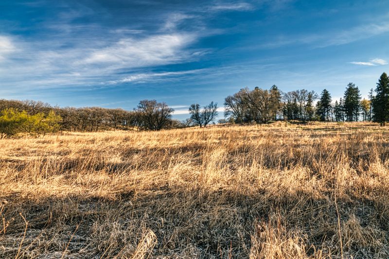 Why The Prairie Benefits From Eight-Legged Neighbors Why The Prairie Benefits From Eight-Legged Neighbors