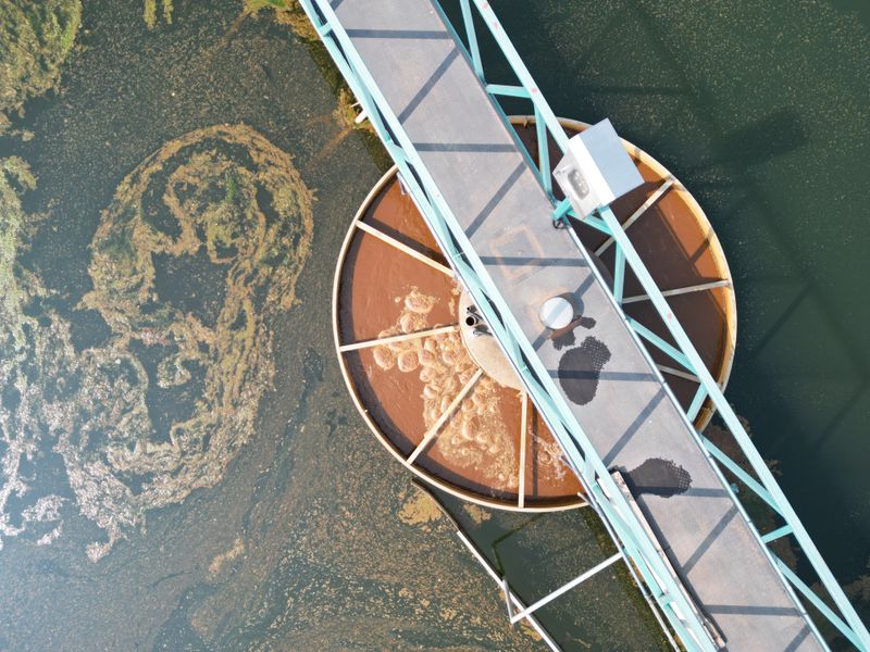 Why The Water Suddenly Smells Like Rotten Eggs