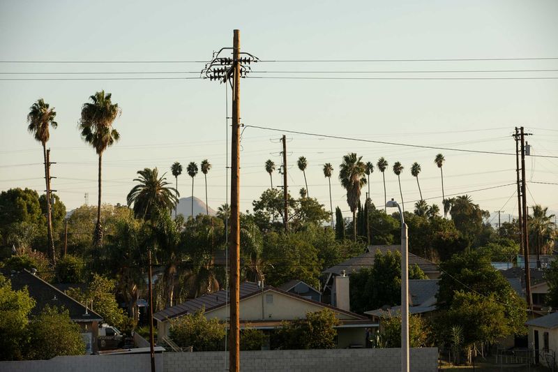 Why Utilities Can Require Tree Clearance Why Utilities Can Require Tree Clearance