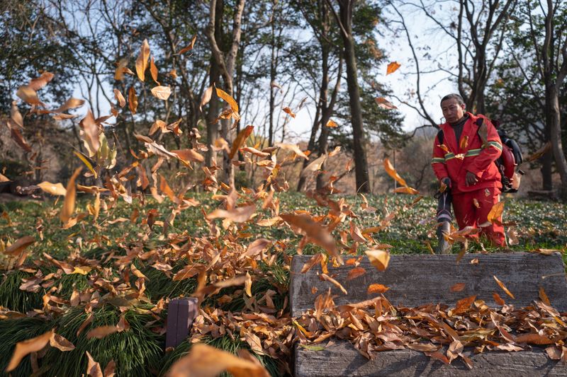 Why Your Fall Cleanup Should Slow Down