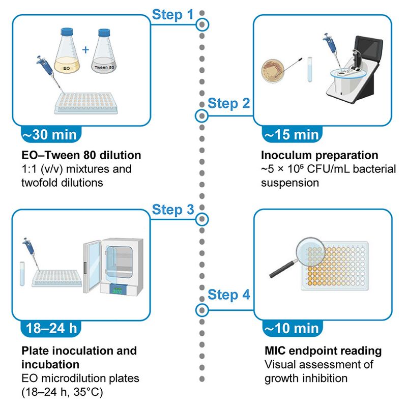 Why the quarter-grain comparison misleads Why the quarter-grain comparison misleads