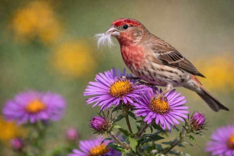 Wildlife Benefits Outweigh A Tidy Look