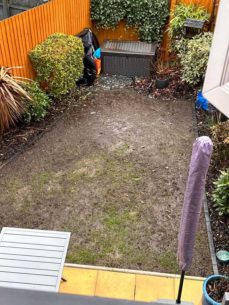 Wind Can Expose Bare Soil Again