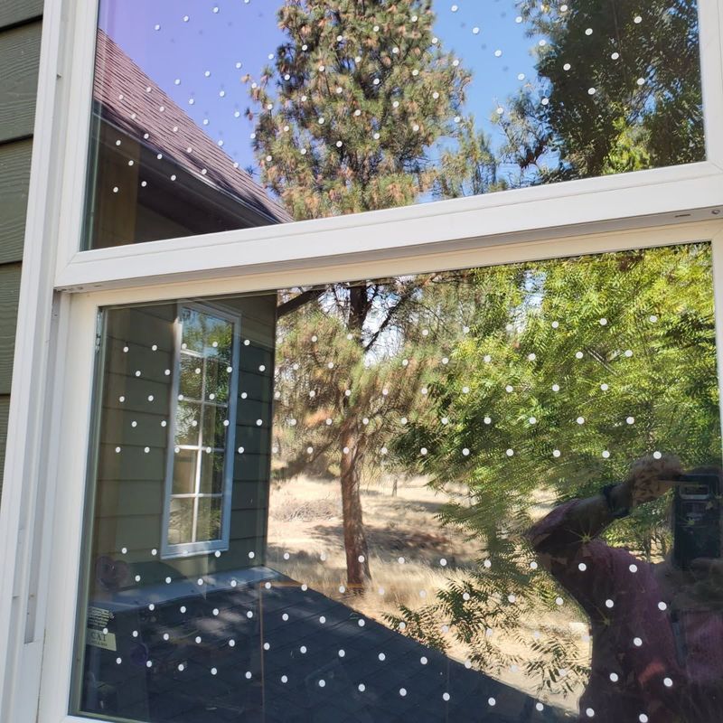 Window Glass, Outdoor Lights, And Roaming Cats