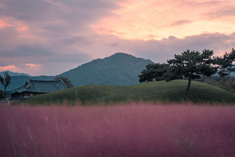 Winter Care And The Return Of Next Year's Pink