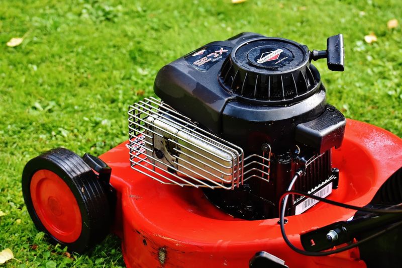 Winter Color Also Means Extra Lawn Work Winter Color Also Means Extra Lawn Work
