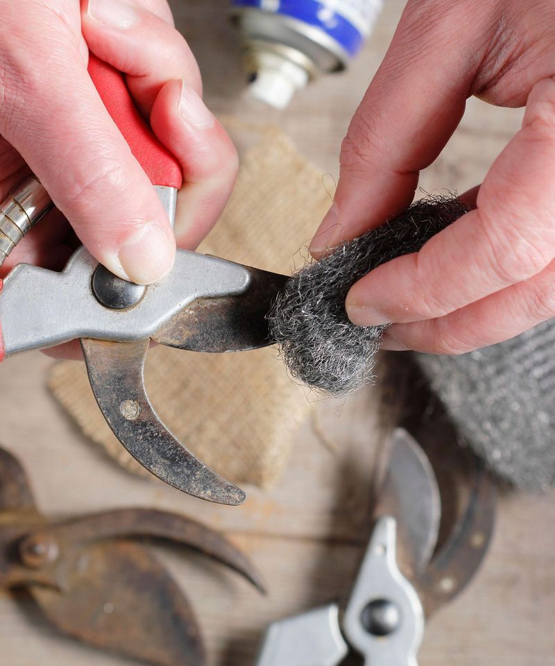 Wipe Your Pruners Between Plants