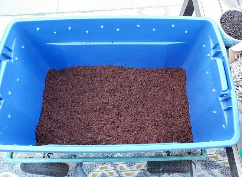 Wisconsin bin problems reveal management mistakes Wisconsin bin problems reveal management mistakes