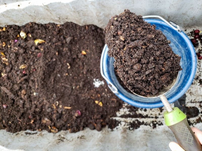 Wisconsin vermicompost becomes a limited soil amendment Wisconsin vermicompost becomes a limited soil amendment