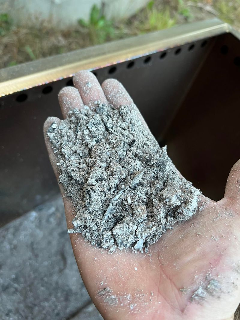 Wood Ash From The Winter Fireplace