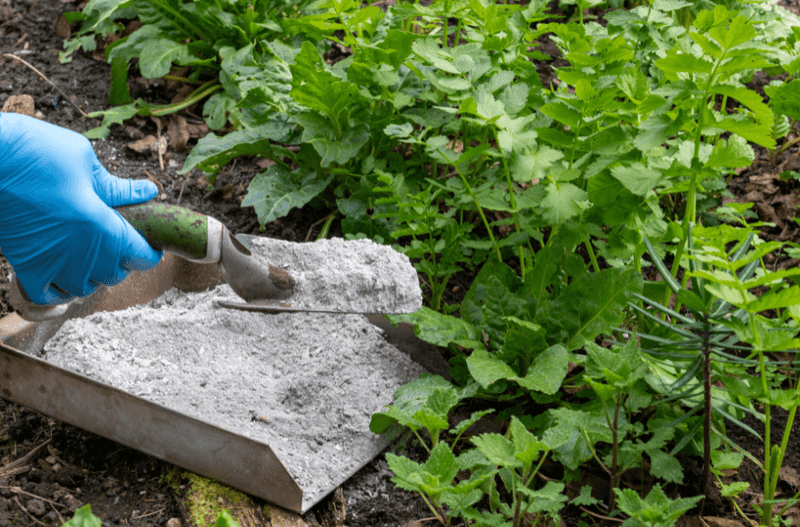 Wood Ash Raises Soil pH Fast Wood Ash Raises Soil pH Fast